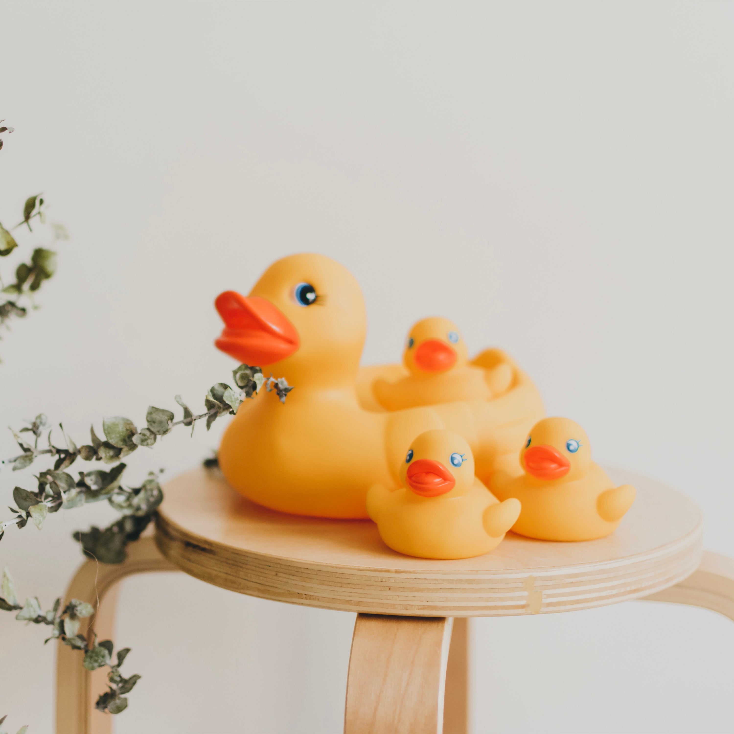 Playgro Bath Duckie Family - Fully Sealed