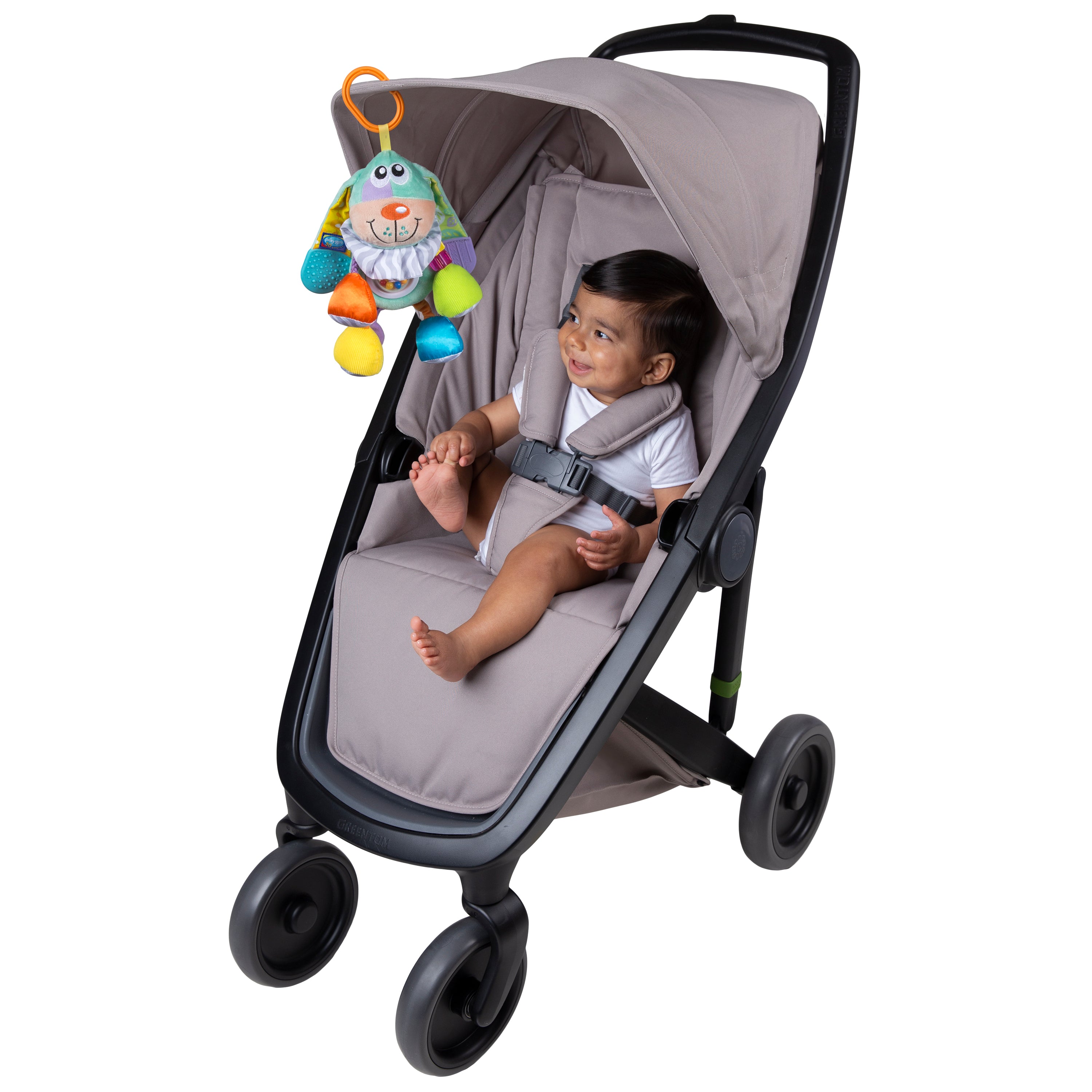 Playgro Activity Doofy Dog