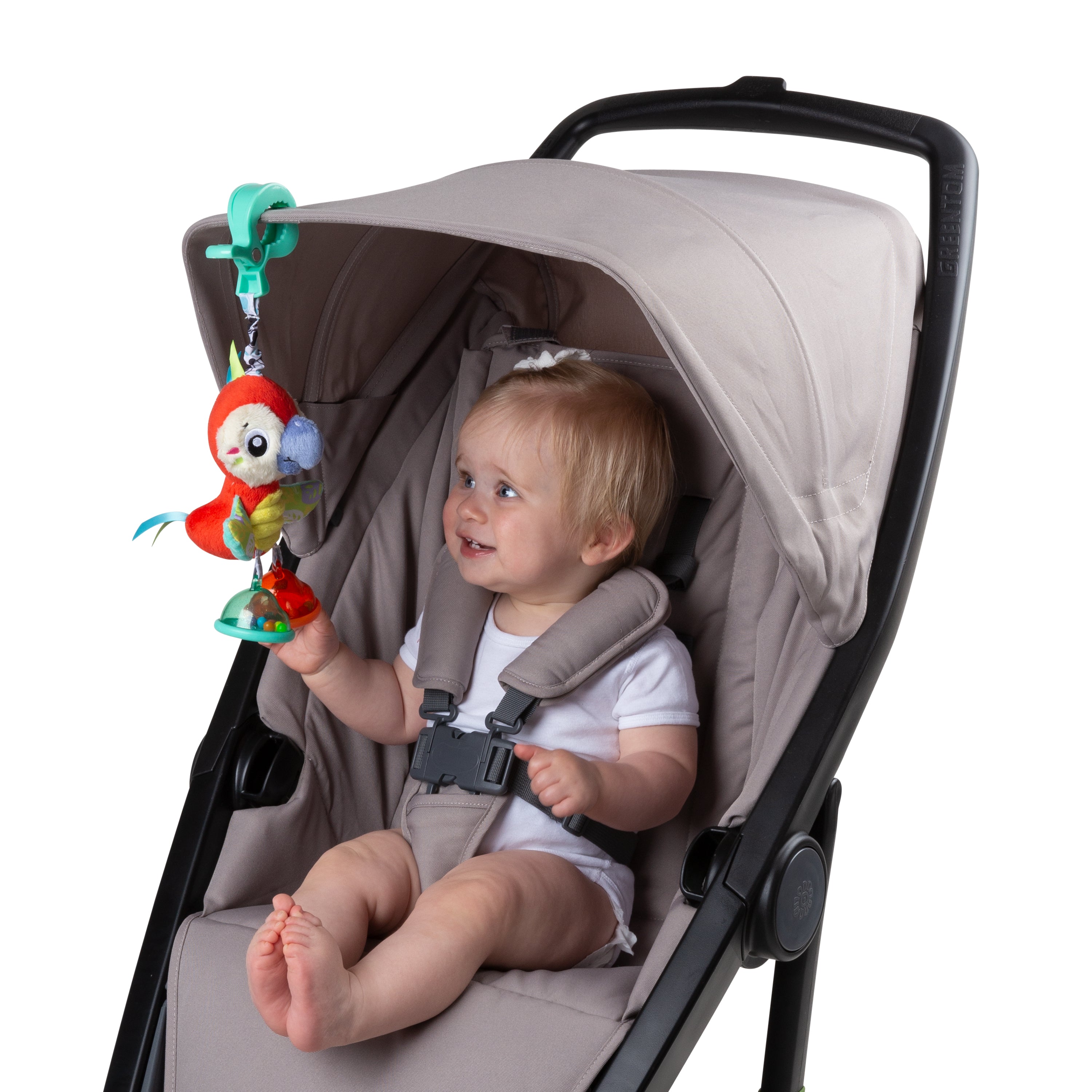 Playgro Dingly Dangly Mio Macaw