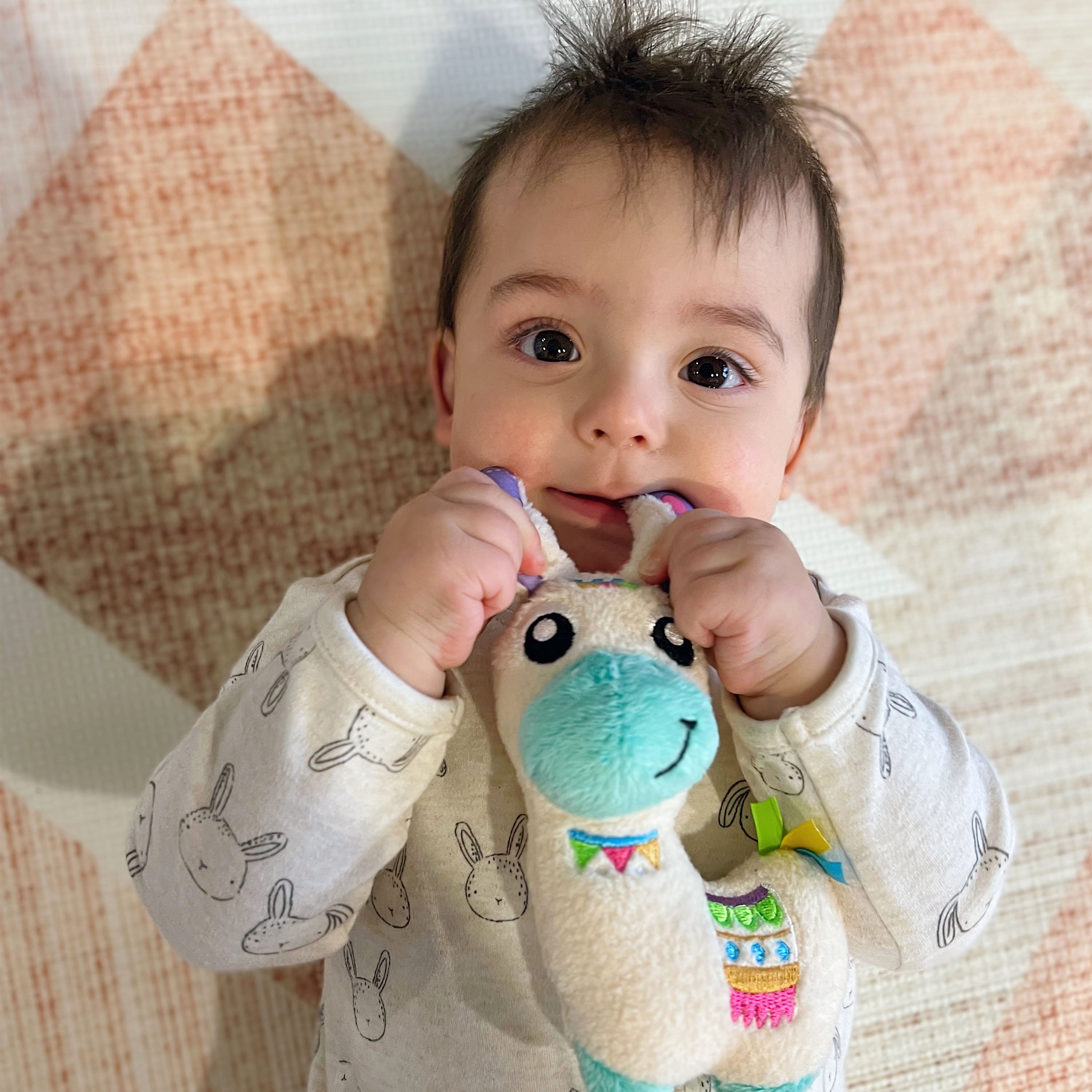 Playgro Sensory Llama Explore and Play Gift Pack