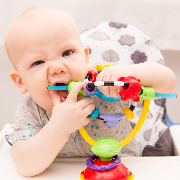 Playgro High Chair Spinning Toy